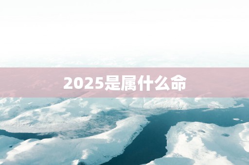 2025是属什么命