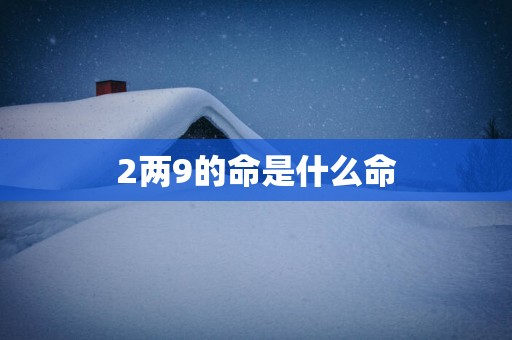2两9的命是什么命