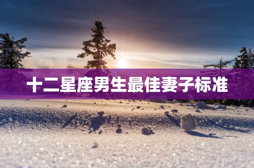十二星座男生最佳妻子标准