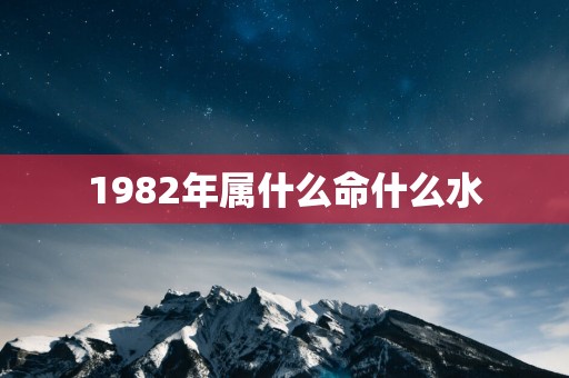 1982年属什么命什么水