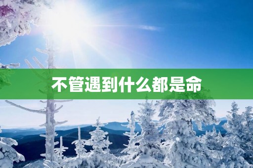 不管遇到什么都是命