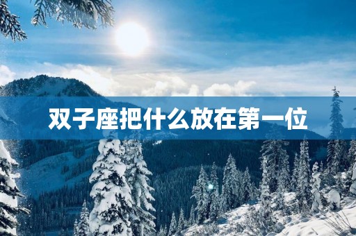 双子座把什么放在第一位
