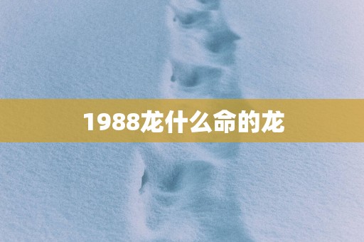 1988龙什么命的龙