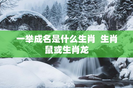 一举成名是什么生肖  生肖鼠或生肖龙