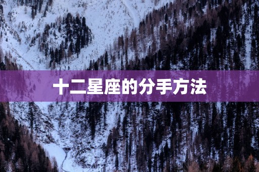十二星座的分手方法