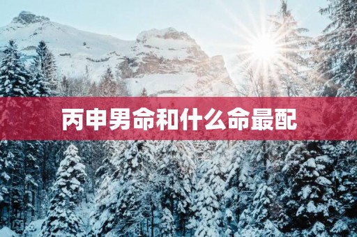 丙申男命和什么命最配