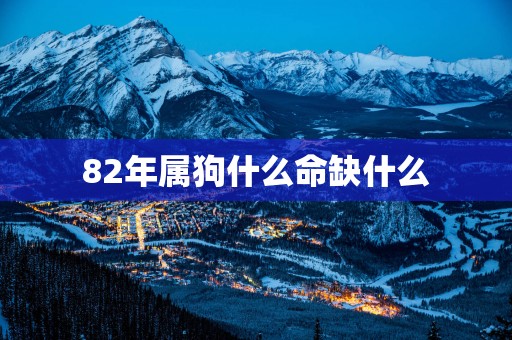 82年属狗什么命缺什么