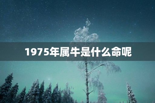 1975年属牛是什么命呢