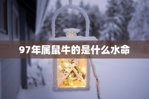 97年属鼠牛的是什么水命
