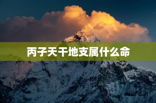丙子天干地支属什么命