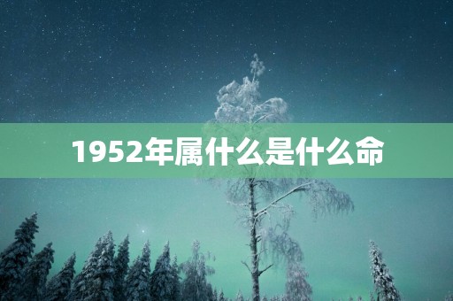 1952年属什么是什么命