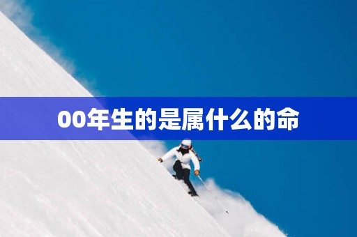 00年生的是属什么的命