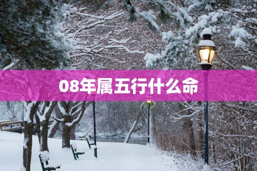 08年属五行什么命