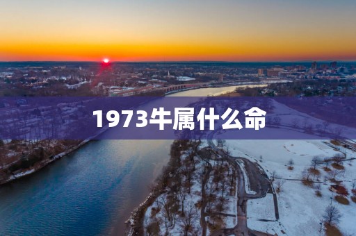 1973牛属什么命