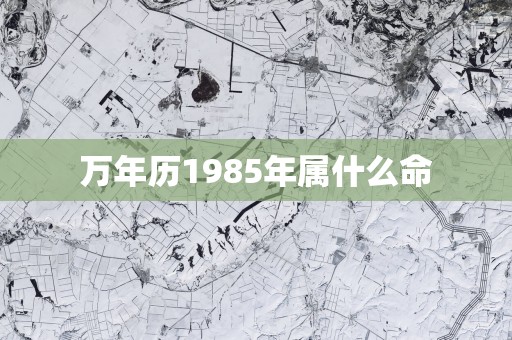 万年历1985年属什么命