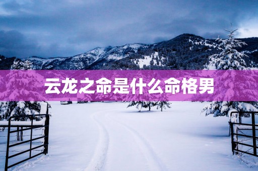 云龙之命是什么命格男