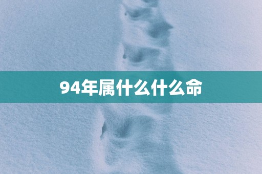 94年属什么什么命