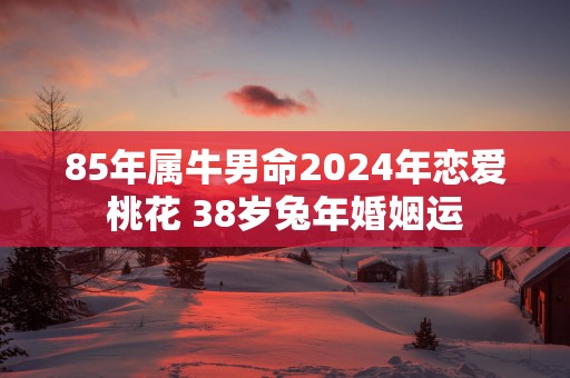 85年属牛男命2025年恋爱桃花 38岁蛇年婚姻运