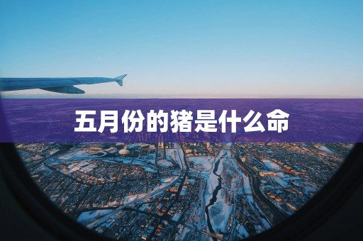 五月份的猪是什么命