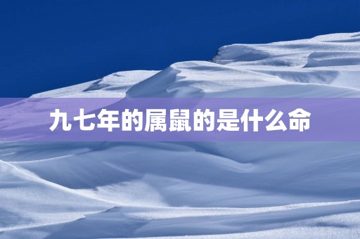 九七年的属鼠的是什么命