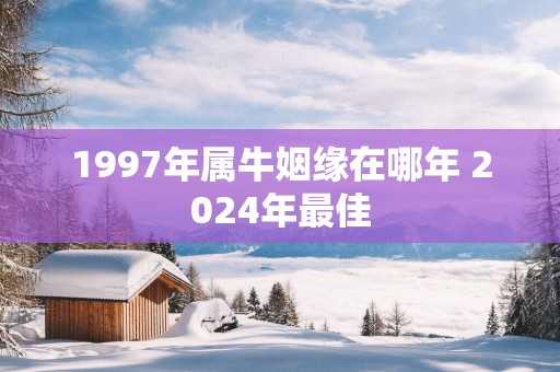 1997年属牛姻缘在哪年 2025年最佳