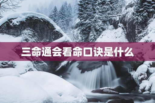 三命通会看命口诀是什么