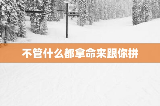 不管什么都拿命来跟你拼