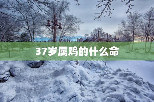 37岁属鸡的什么命