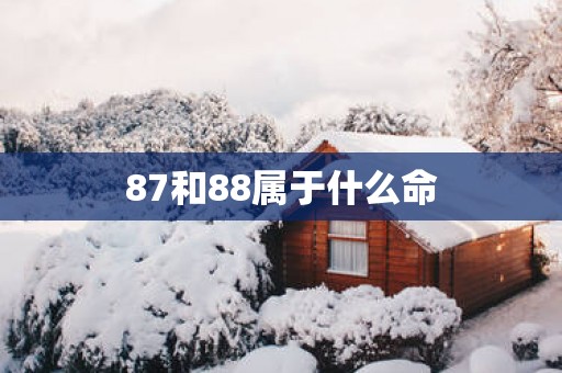 87和88属于什么命
