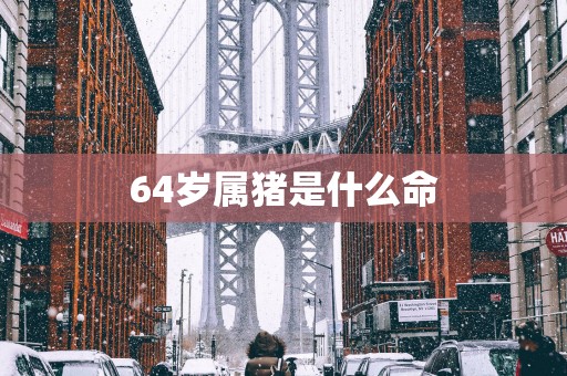 64岁属猪是什么命