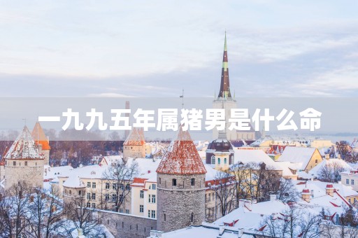 一九九五年属猪男是什么命