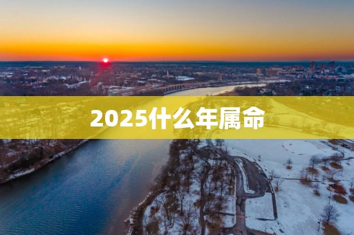 2025什么年属命