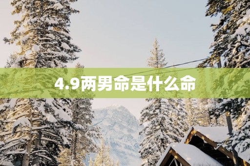 4.9两男命是什么命