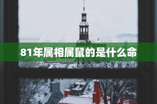 81年属相属鼠的是什么命