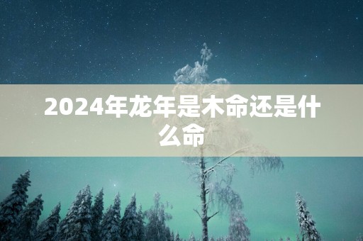 2025年蛇年是木命还是什么命