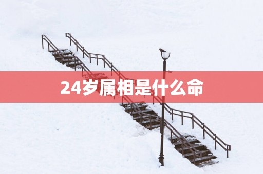 24岁属相是什么命