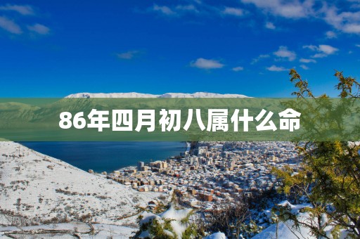 86年四月初八属什么命