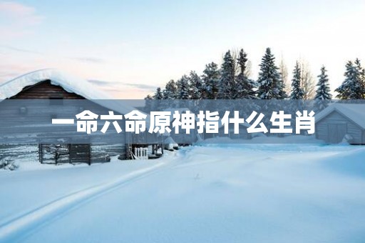 一命六命原神指什么生肖