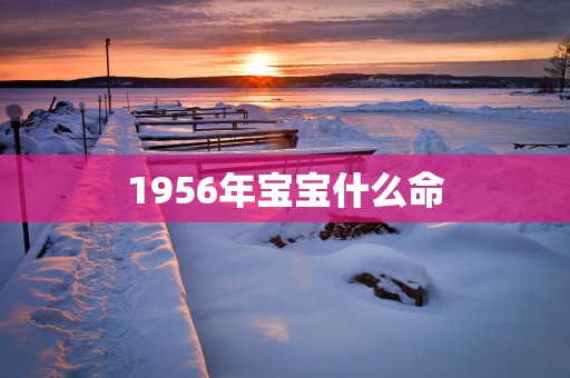 1956年宝宝什么命