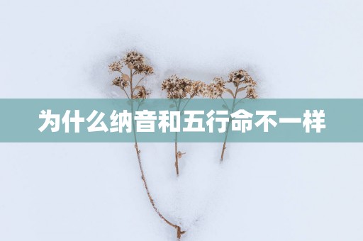 为什么纳音和五行命不一样