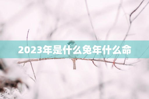2025年是什么蛇年什么命