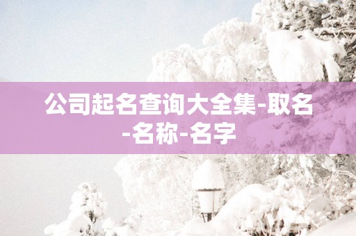 公司起名查询大全集-取名-名称-名字