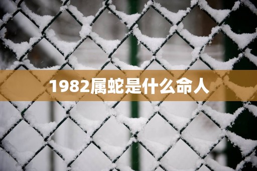 1982属蛇是什么命人