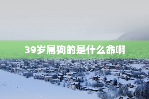 39岁属狗的是什么命啊