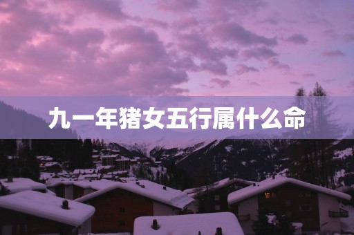 九一年猪女五行属什么命