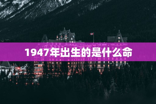 1947年出生的是什么命