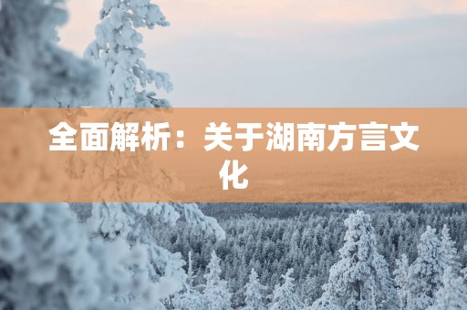 全面解析：关于湖南方言文化