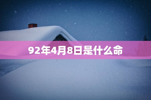 92年4月8日是什么命