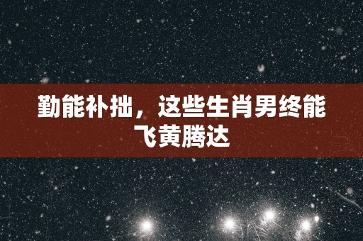 勤能补拙，这些生肖男终能飞黄腾达