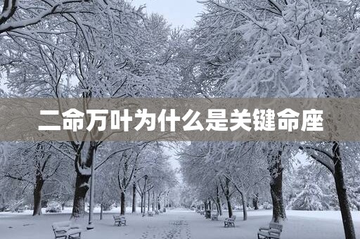 二命万叶为什么是关键命座